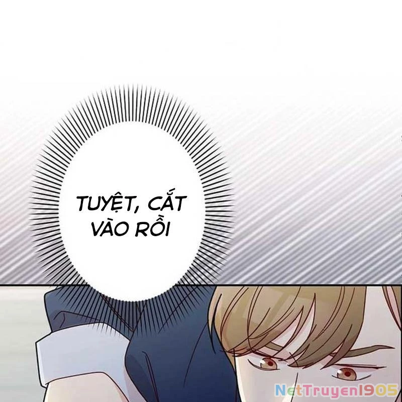 Sự Tái Sinh Của Nhà Thiết Kế Tài Ba Chapter 11 - Trang 2