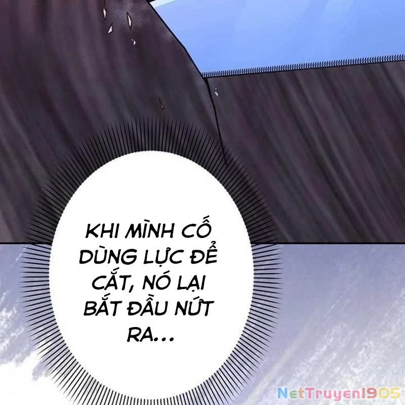 Sự Tái Sinh Của Nhà Thiết Kế Tài Ba Chapter 11 - Trang 2