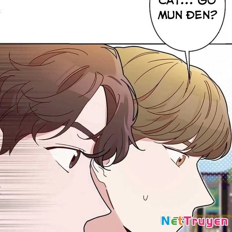 Sự Tái Sinh Của Nhà Thiết Kế Tài Ba Chapter 11 - Trang 2