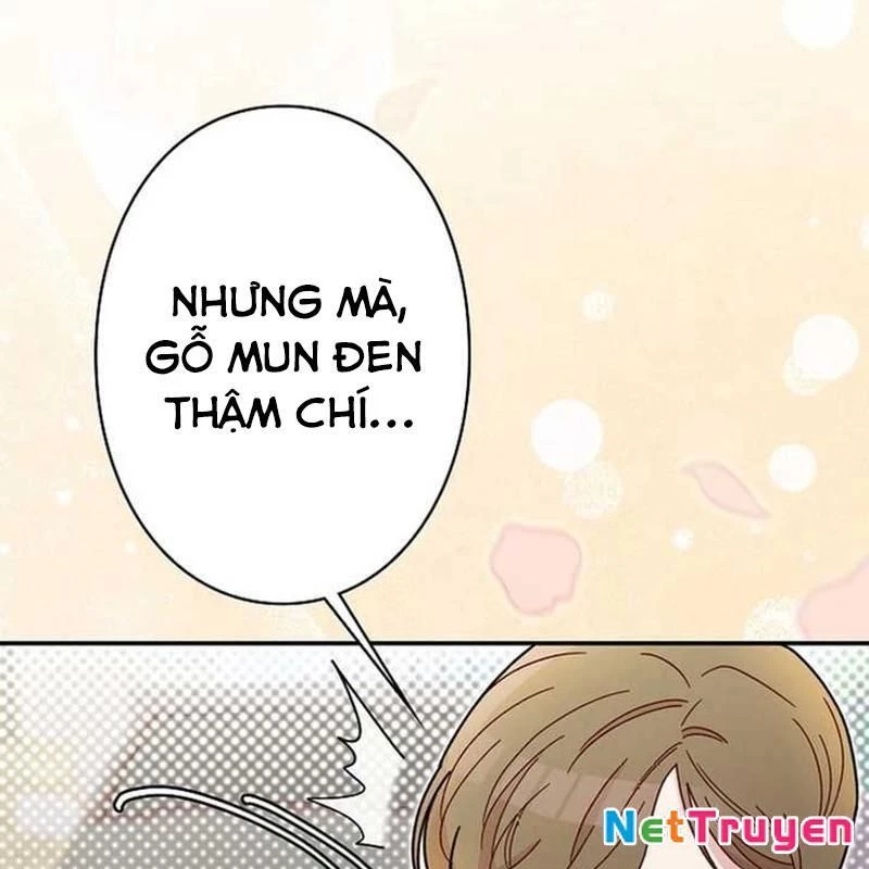 Sự Tái Sinh Của Nhà Thiết Kế Tài Ba Chapter 11 - Trang 2