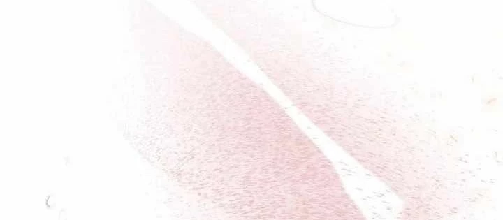 Sự Tái Sinh Của Nhà Thiết Kế Tài Ba Chapter 17 - Trang 2