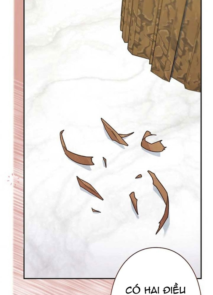Sự Tái Sinh Của Nhà Thiết Kế Tài Ba Chapter 19 - Trang 2