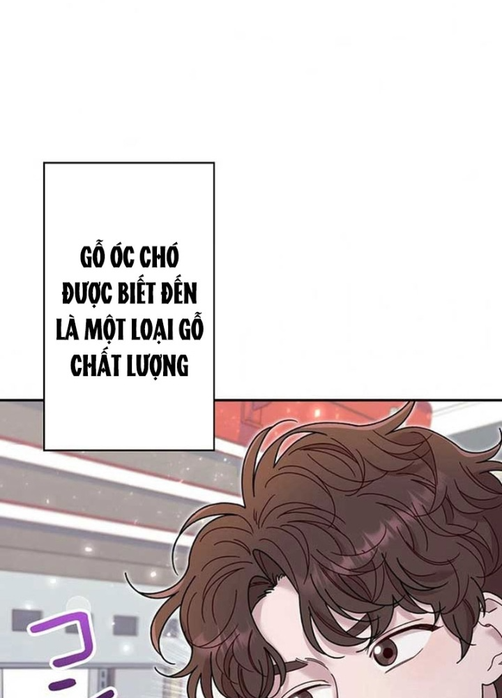 Sự Tái Sinh Của Nhà Thiết Kế Tài Ba Chapter 19 - Trang 2