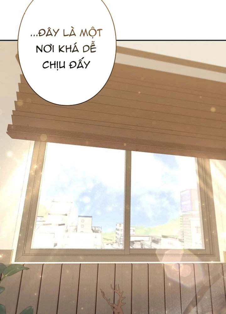 Sự Tái Sinh Của Nhà Thiết Kế Tài Ba Chapter 20 - Trang 2