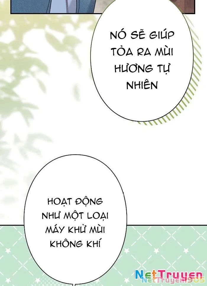 Sự Tái Sinh Của Nhà Thiết Kế Tài Ba Chapter 25 - Trang 2