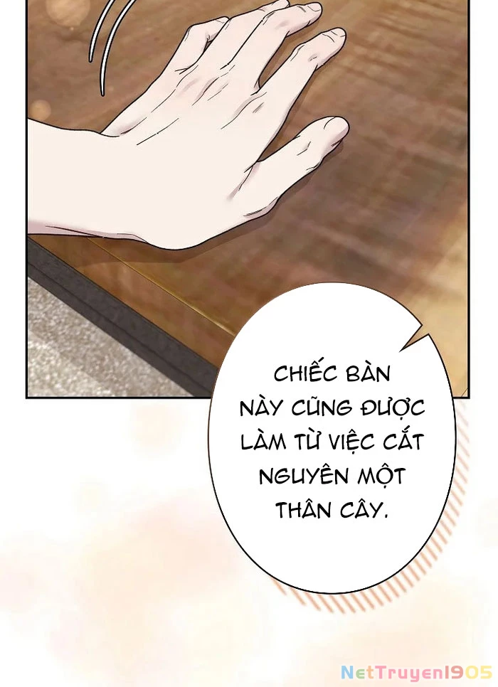 Sự Tái Sinh Của Nhà Thiết Kế Tài Ba Chapter 25 - Trang 2