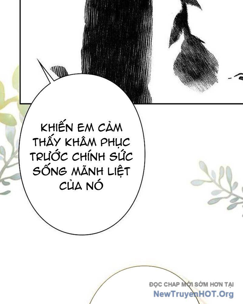 Sự Tái Sinh Của Nhà Thiết Kế Tài Ba Chapter 30 - Trang 2