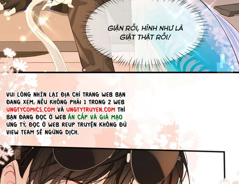 Nhân Ngư Rơi Xuống Chapter 11 - Trang 2