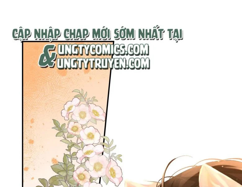 Nhân Ngư Rơi Xuống Chapter 11 - Trang 2