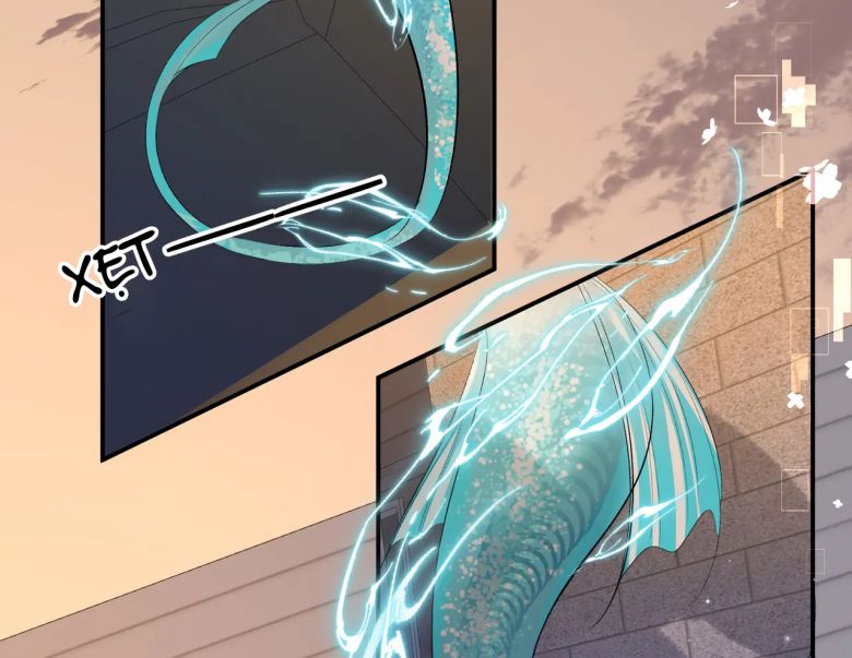 Nhân Ngư Rơi Xuống Chapter 11 - Trang 2