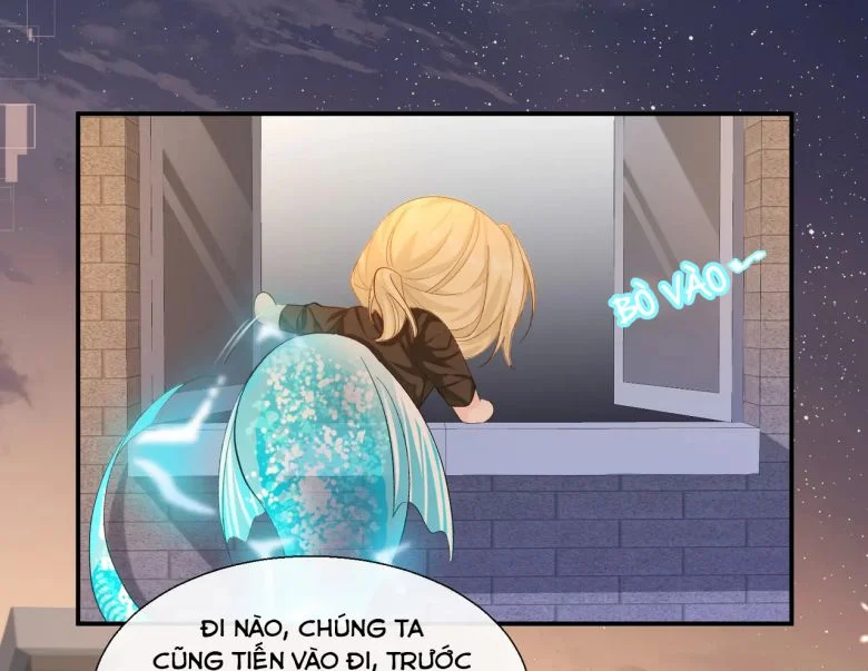 Nhân Ngư Rơi Xuống Chapter 11 - Trang 2