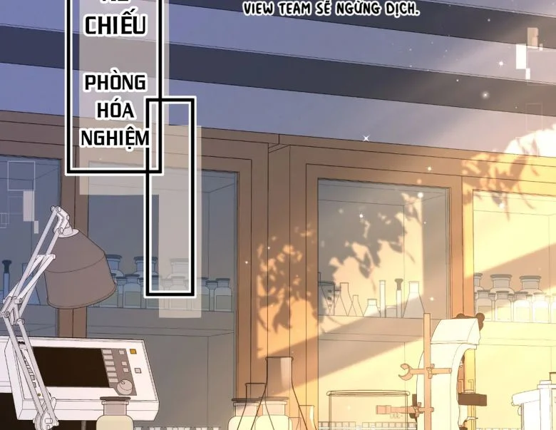 Nhân Ngư Rơi Xuống Chapter 11 - Trang 2