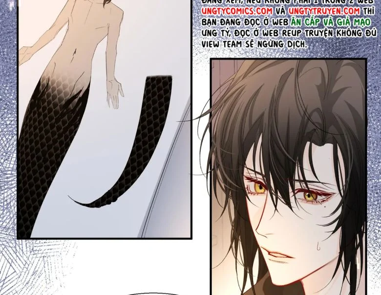 Nhân Ngư Rơi Xuống Chapter 11 - Trang 2