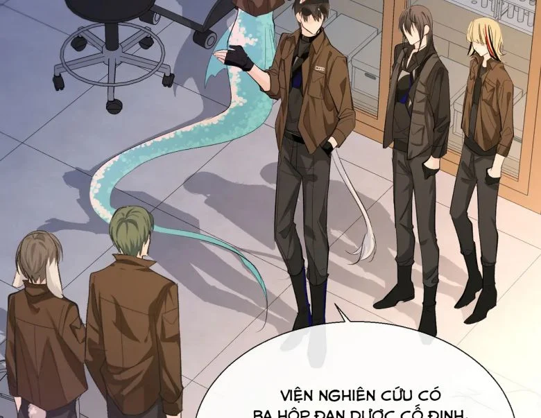 Nhân Ngư Rơi Xuống Chapter 11 - Trang 2