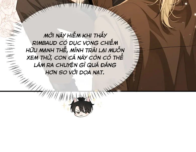 Nhân Ngư Rơi Xuống Chapter 11 - Trang 2