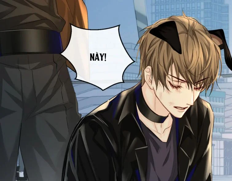 Nhân Ngư Rơi Xuống Chapter 21 - Trang 2