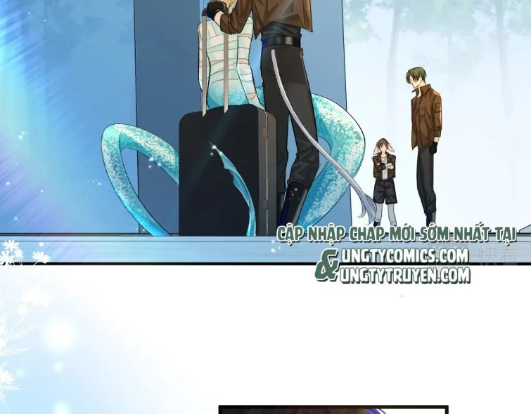 Nhân Ngư Rơi Xuống Chapter 21 - Trang 2