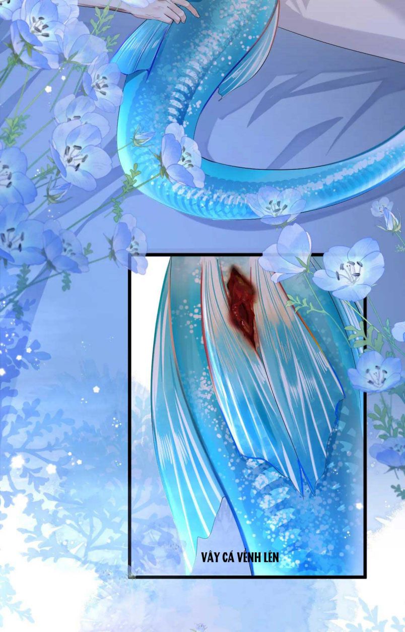 Nhân Ngư Rơi Xuống Chapter 28 - Trang 2