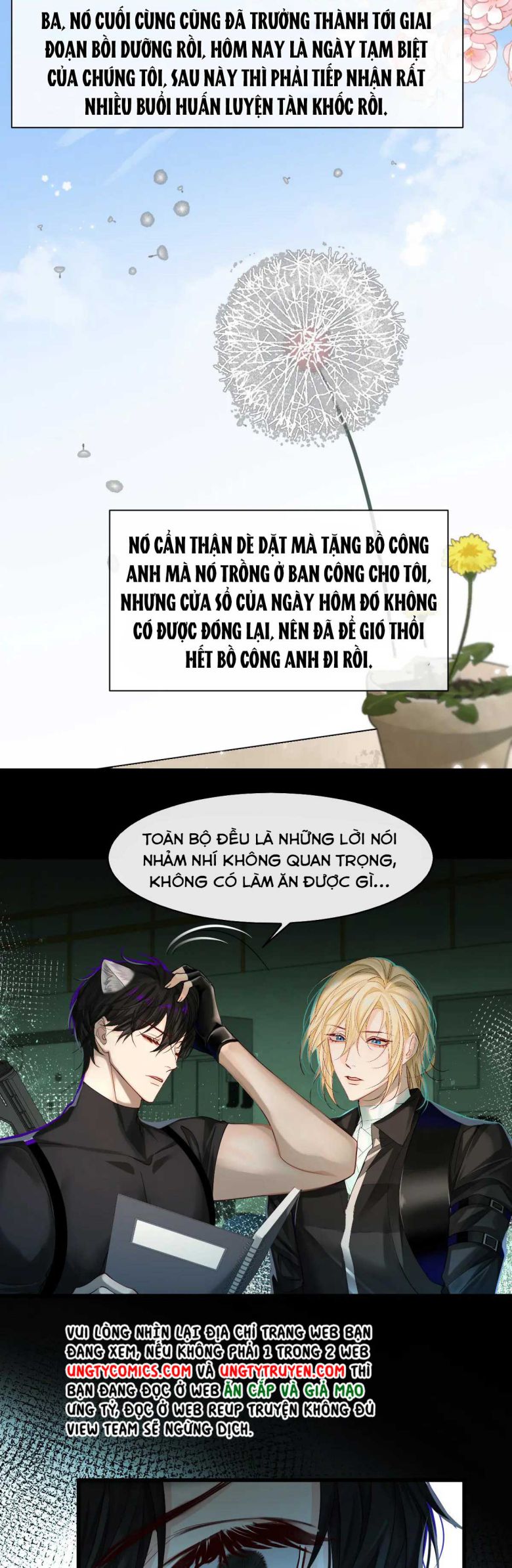 Nhân Ngư Rơi Xuống Chapter 36 - Trang 2