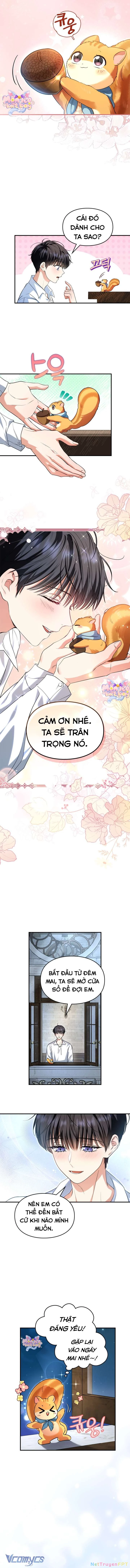 Trở Thành Sóc Nhỏ Của Kẻ Phản Diện Chapter 2 - Trang 2