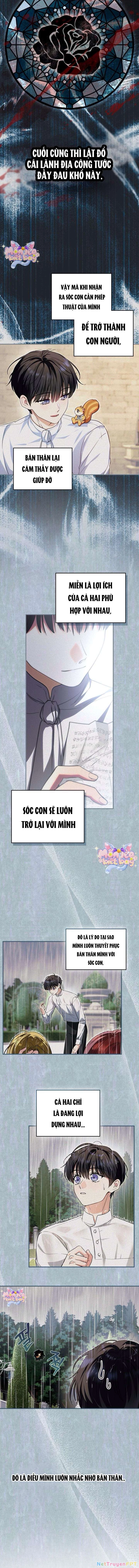 Trở Thành Sóc Nhỏ Của Kẻ Phản Diện Chapter 6 - Trang 2