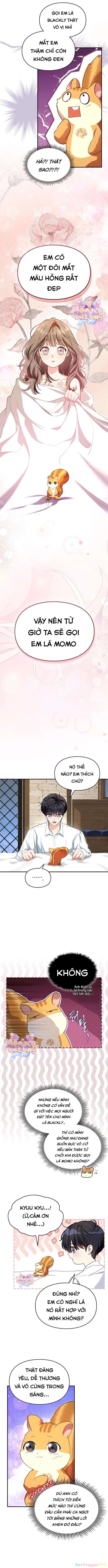 Trở Thành Sóc Nhỏ Của Kẻ Phản Diện Chapter 8 - Trang 2