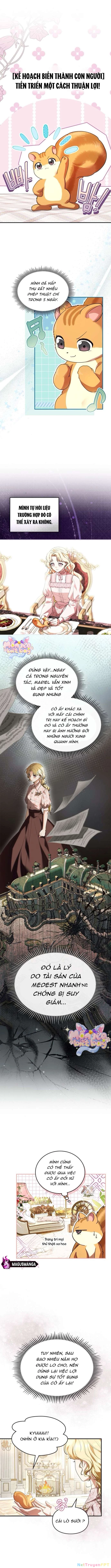Trở Thành Sóc Nhỏ Của Kẻ Phản Diện Chapter 11 - Trang 2