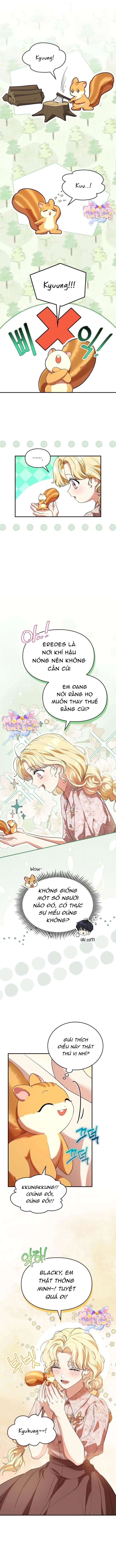 Trở Thành Sóc Nhỏ Của Kẻ Phản Diện Chapter 11 - Trang 2