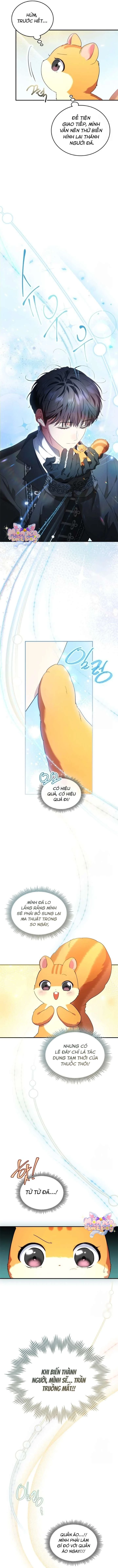 Trở Thành Sóc Nhỏ Của Kẻ Phản Diện Chapter 23 - Trang 2
