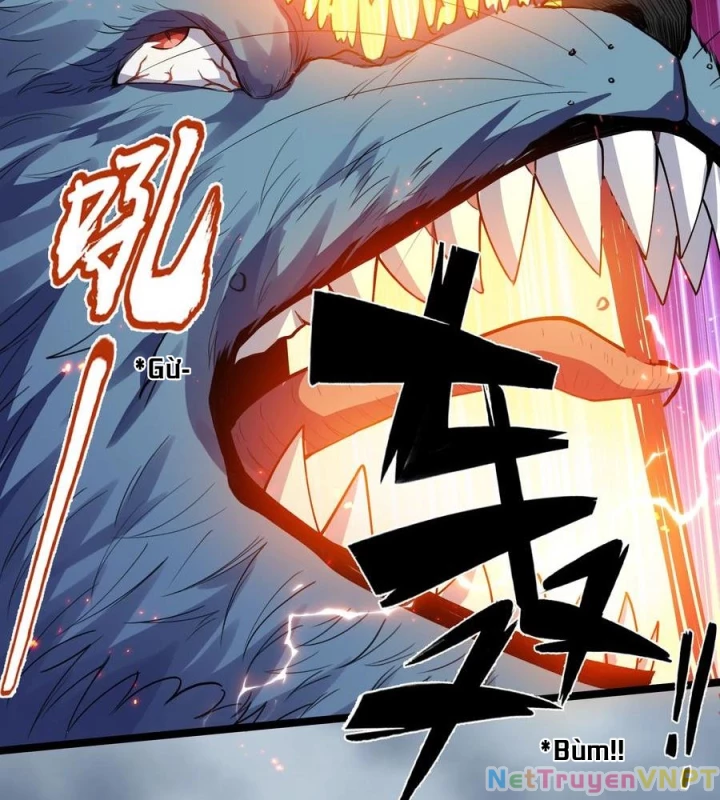 Toàn Bộ Tu Chân Giới Muội Tử Muốn Bắt Ta Chapter 147 - Trang 2