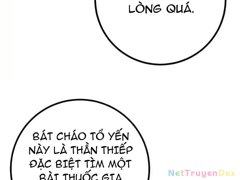 Phá Thân Của Nữ Hoàng Đế Chapter 27 - Trang 2