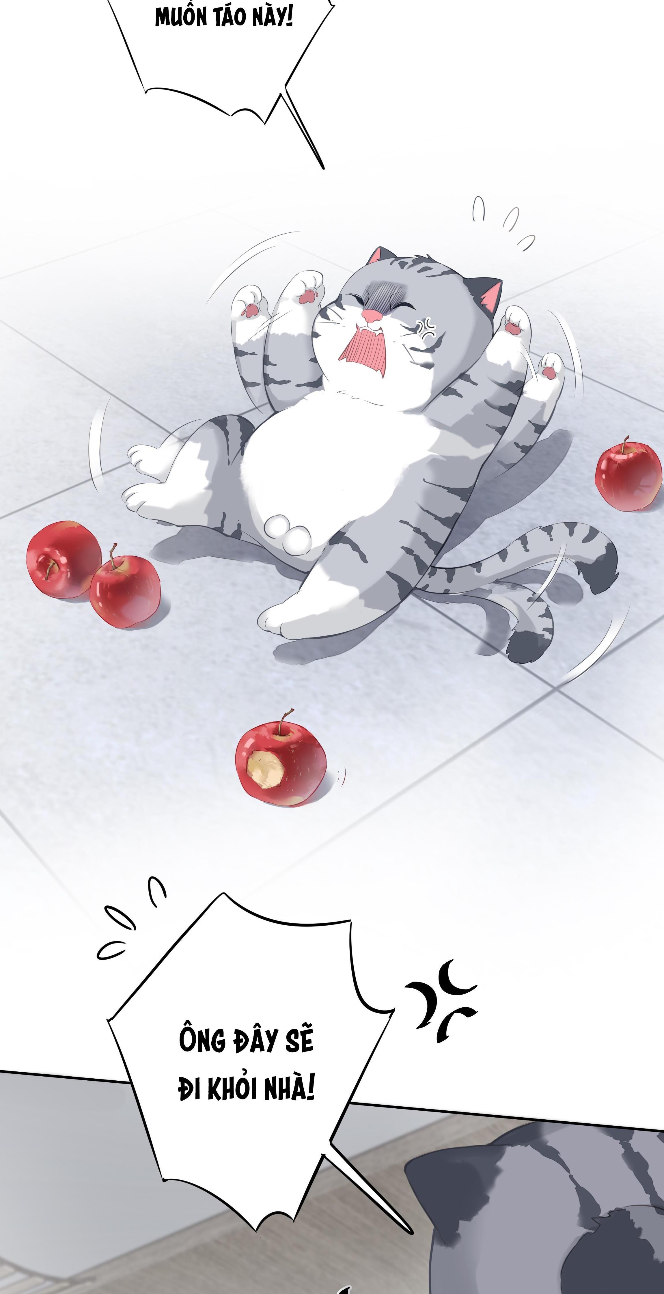 Mối Liên Hôn Khác Loài Chapter 34 - Trang 2