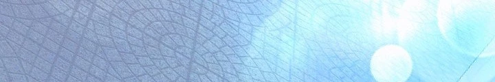 Anh Hùng Trọng Sinh Thành Trưởng Tử Nhà Công Tước Chapter 70 - Trang 2