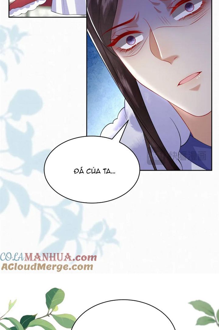 Phế Thê Trùng Sinh Chapter 78 - Trang 2