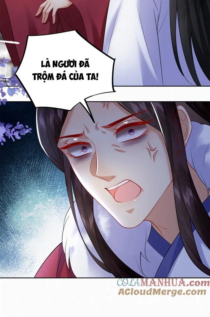 Phế Thê Trùng Sinh Chapter 78 - Trang 2