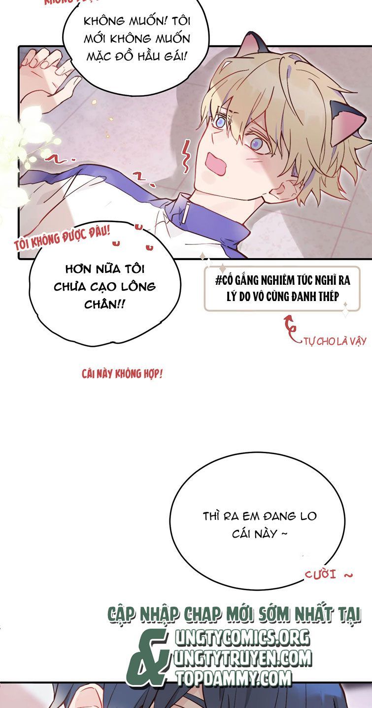 Tỏ Tình Vô Hiệu Chapter 21 - Trang 2