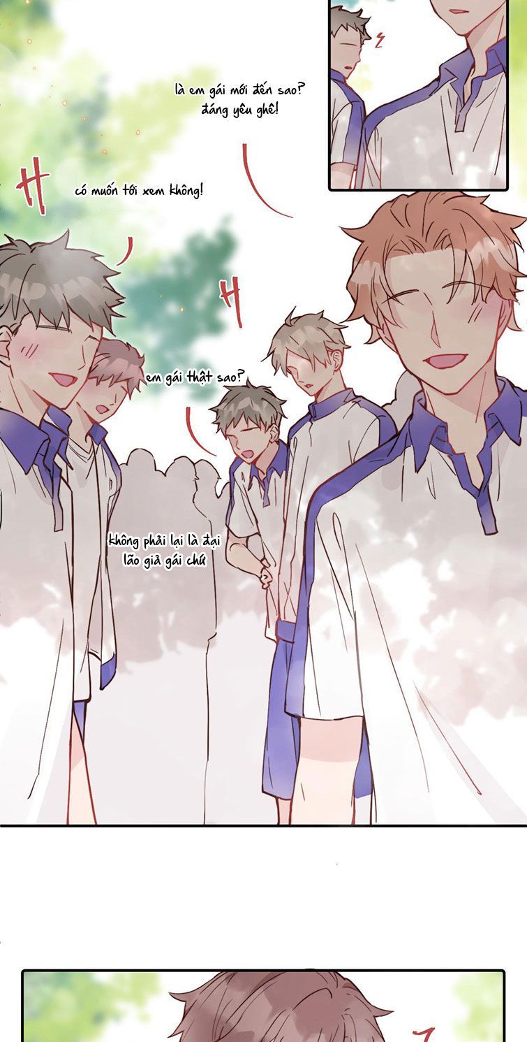 Tỏ Tình Vô Hiệu Chapter 21 - Trang 2