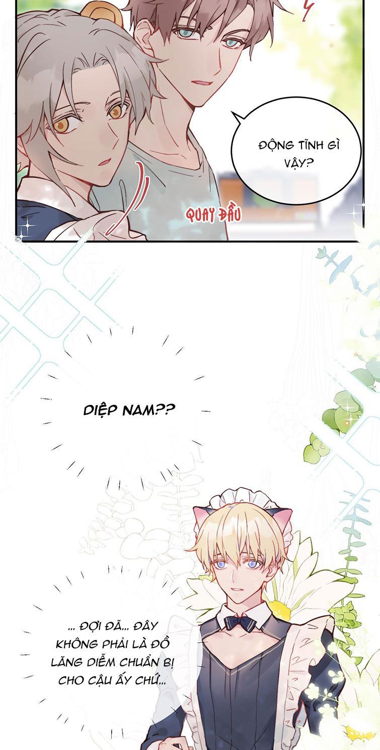 Tỏ Tình Vô Hiệu Chapter 21 - Trang 2