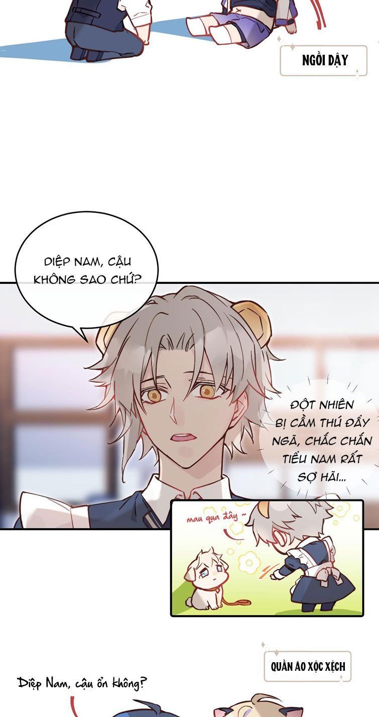 Tỏ Tình Vô Hiệu Chapter 21 - Trang 2