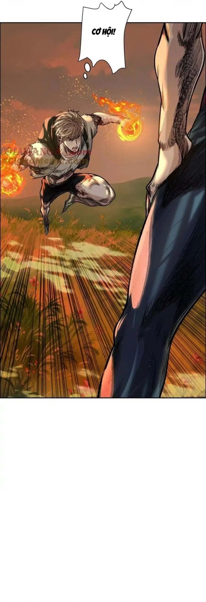 Thập Nhị Tinh Chapter 60 - Trang 2