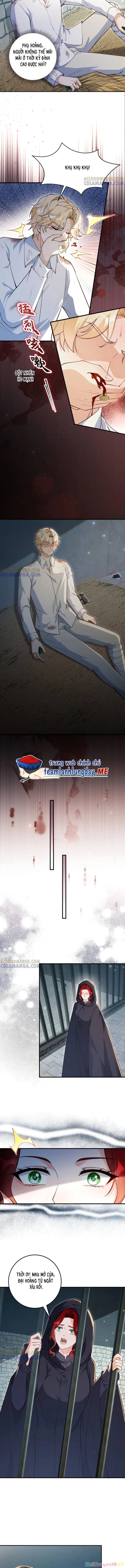 Ba Ông Anh Quyền Lực Của Tôi Chapter 32 - Trang 2