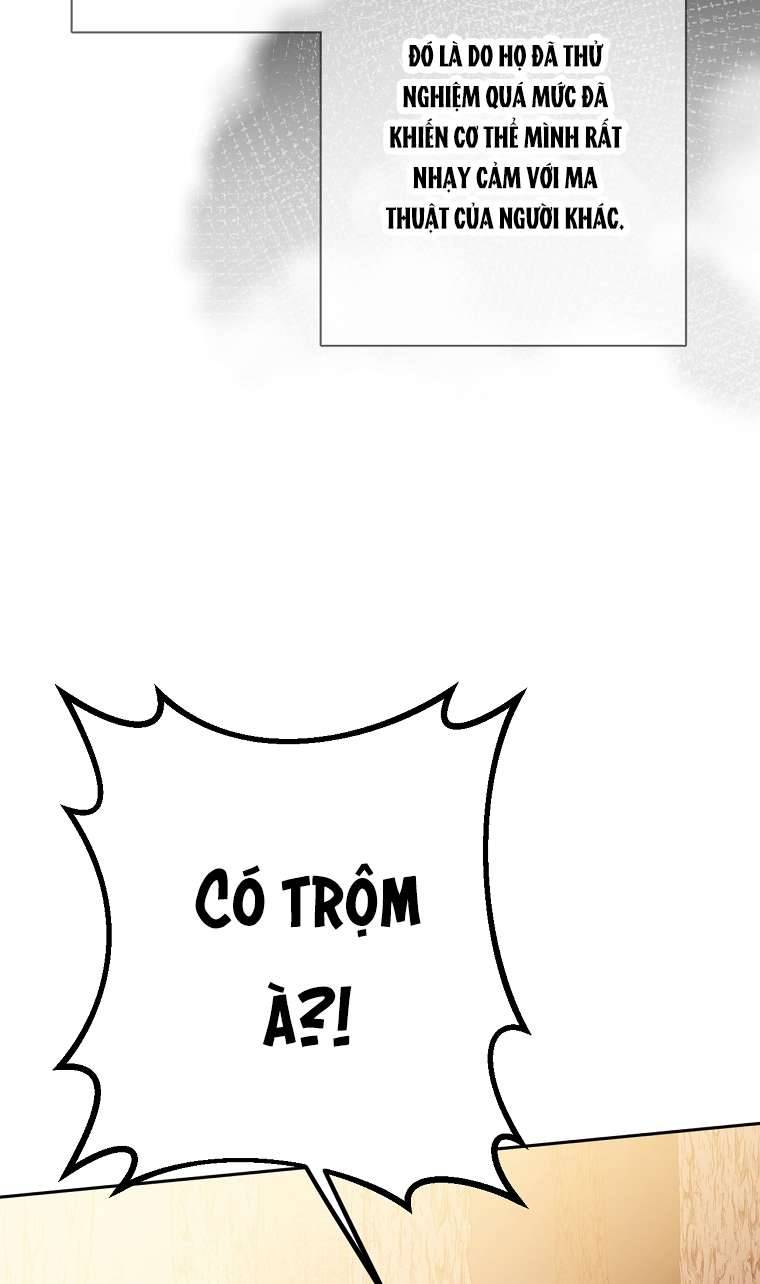 Quý Tộc Gì Chứ, Tôi Chỉ Muốn Về Nhà Chapter 12 - Trang 2