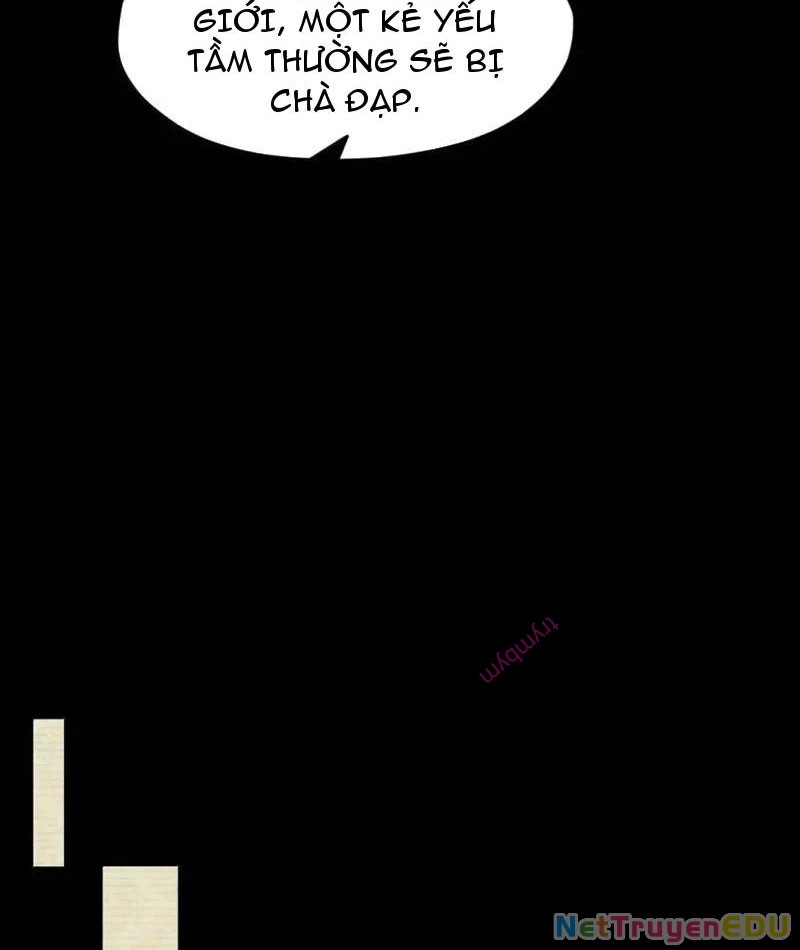 Từ Đáy Xã Hội Quật Khởi Chapter 50 - Trang 2