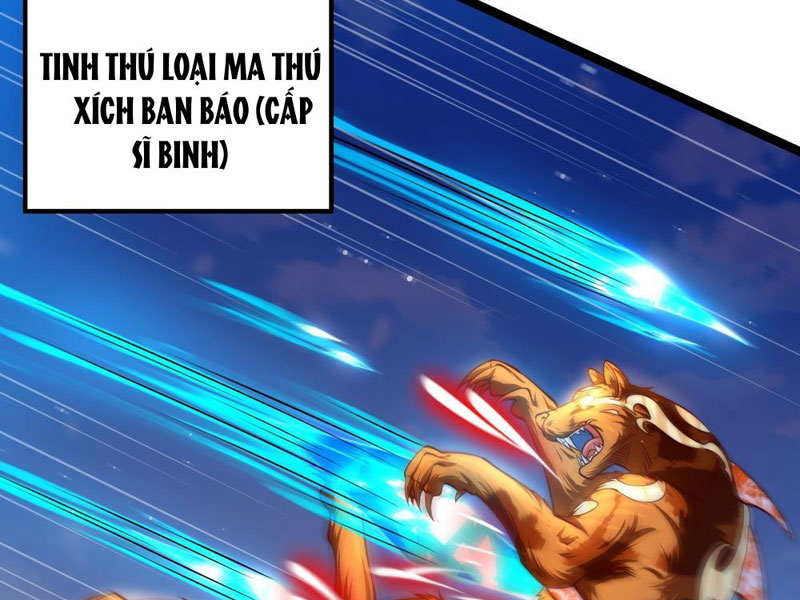 Tinh Thú Sư Mạnh Nhất Chapter 2 - Trang 2