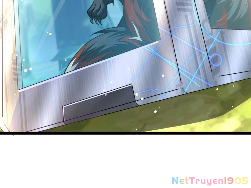 Tinh Thú Sư Mạnh Nhất Chapter 4 - Trang 2