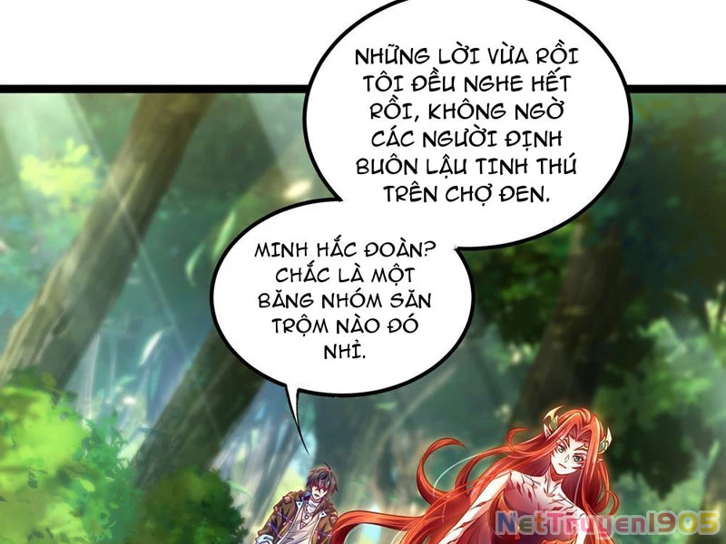 Tinh Thú Sư Mạnh Nhất Chapter 4 - Trang 2