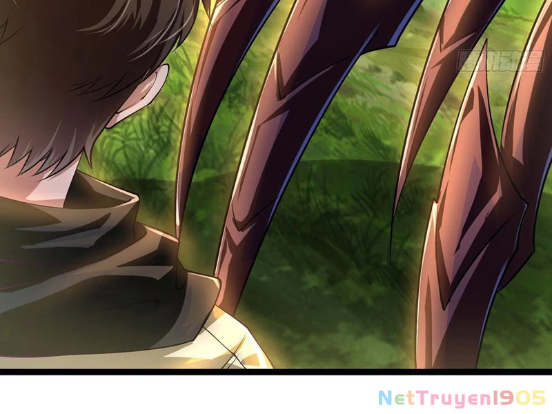Tinh Thú Sư Mạnh Nhất Chapter 4 - Trang 2
