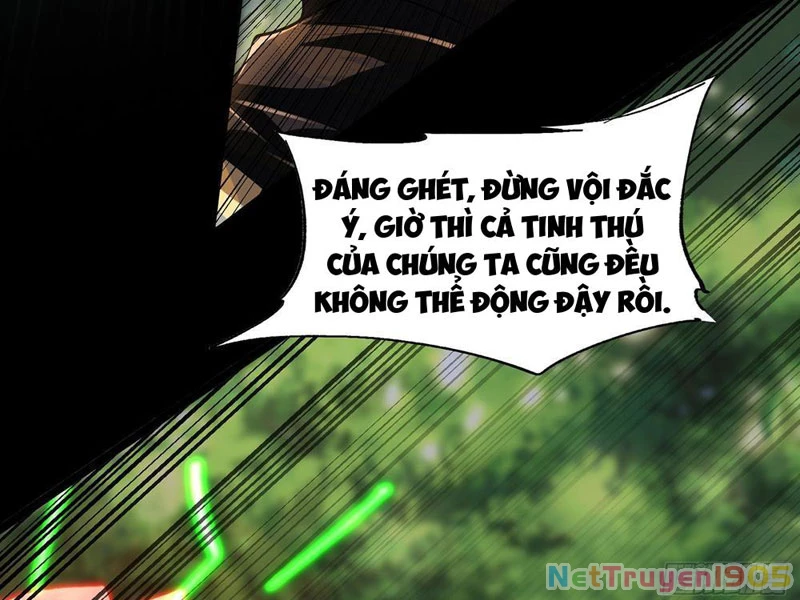Tinh Thú Sư Mạnh Nhất Chapter 4 - Trang 2
