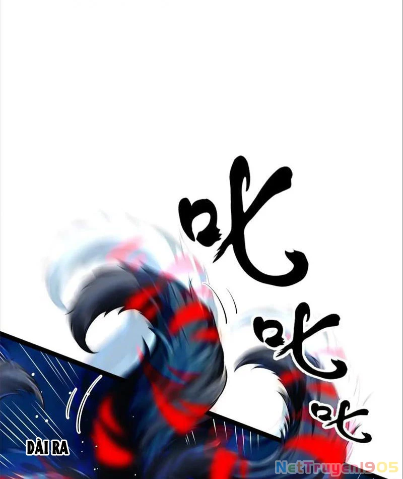 Tinh Thú Sư Mạnh Nhất Chapter 7 - Trang 2