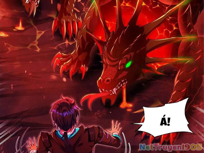 Tinh Thú Sư Mạnh Nhất Chapter 8 - Trang 2